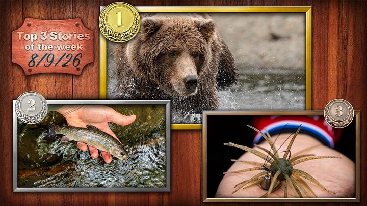 What It Was Like to Be Charged by an Alaskan Brown Bear—and What I Learned; Fly Fishing for Brook Trout on the Appalachian Trail; The Strange Spiny Lure Taking Over Bass Fishing in 2026 What It Was Like to Be Charged by an Alaskan Brown Bear—and What I Learned; Fly Fishing for Brook Trout on the Appalachian Trail; The Strange Spiny Lure Taking Over Bass Fishing in 2026