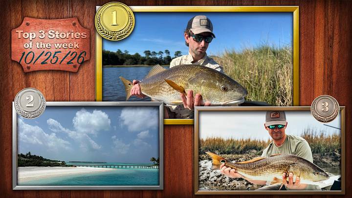 Fall Fly Fishing for Redfish in the Lowcountry; The Maldives Looks To Host Major Fishing Tournament Next Year; Why Is Charleston the Best Winter Spot for Redfish, Great Eats, and Southern Charm? Fall Fly Fishing for Redfish in the Lowcountry; The Maldives Looks To Host Major Fishing Tournament Next Year; Why Is Charleston the Best Winter Spot for Redfish, Great Eats, and Southern Charm?