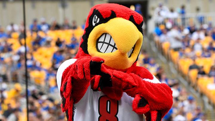 Louie the Cardinal Louie the Cardinal