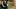 TWD_708_GP_0805_0291-RT
