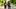 TWD_705_GP_0627_0015-RT TWD_705_GP_0627_0015-RT