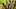 “What I’m Smellin’ Is Stinky” – Survivor Pictured: Torches “What I’m Smellin’ Is Stinky” – Survivor Pictured: Torches