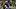 TCU defense, Kylin Jackson and Keylan Abrams, shined during the Baylor Revivalry game in in Waco TCU defense, Kylin Jackson and Keylan Abrams, shined during the Baylor Revivalry game in in Waco