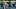 oregon ducks cornerback defensive back ify obidegwu interception autzen stadium brandon finney jr. na'eem offord dan lanning oregon ducks cornerback defensive back ify obidegwu interception autzen stadium brandon finney jr. na'eem offord dan lanning