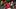 Atlanta Braves right fielder Ronald Acuna Jr. Atlanta Braves right fielder Ronald Acuna Jr.