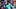 Lamine Yamal Lamine Yamal