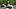 Pittsburgh Steelers quarterback Drew Allar Pittsburgh Steelers quarterback Drew Allar