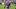 Edmundo Fiorentina striker Edmundo Fiorentina striker