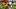 oregon ducks quarterback dante moore coach dan lanning usc trojans linebacker desman stephens targeting david pollack oregon ducks quarterback dante moore coach dan lanning usc trojans linebacker desman stephens targeting david pollack
