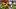 oregon ducks evan stewart dante moore injury dylan raiola dan lanning jerseys ucla bruins usc trojans win big ten oregon ducks evan stewart dante moore injury dylan raiola dan lanning jerseys ucla bruins usc trojans win big ten