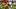 oregon ducks quarterback dante moore dylan raiola coach dan lanning desman stephens usc trojans national championship bit ten oregon ducks quarterback dante moore dylan raiola coach dan lanning desman stephens usc trojans national championship bit ten
