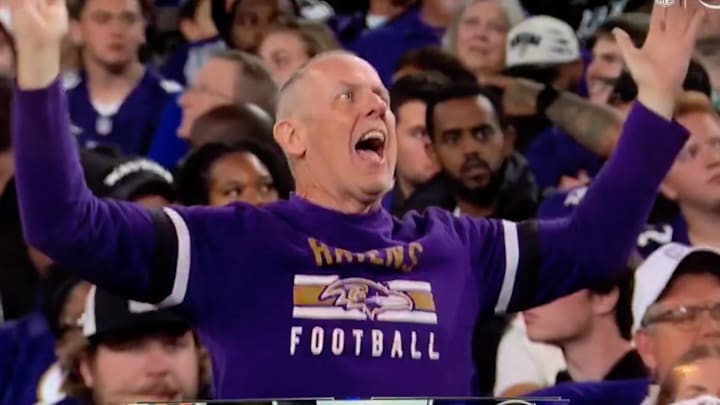 A bothered Baltimore Ravens fan.