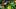 oregon ducks aydin breland defensive line usc trojans road game bear alexander jayden maiava lincoln riley dan lanning big te oregon ducks aydin breland defensive line usc trojans road game bear alexander jayden maiava lincoln riley dan lanning big te