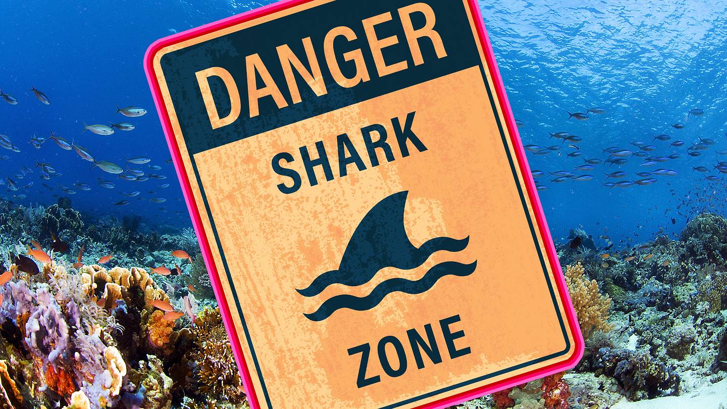 8 Common Fears You Don't Need to Worry About - News Directory 3