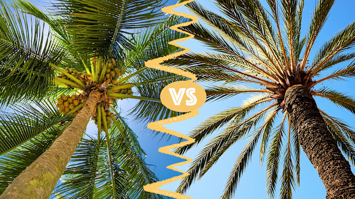 Note the lack of coconuts on the right.