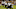 Josh ross, baltimore ravens Josh ross, baltimore ravens