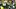 Houston Texans wide receiver Anthony Miller (17) stiffarms Green Bay Packers linebacker De'Jon Harris. Houston Texans wide receiver Anthony Miller (17) stiffarms Green Bay Packers linebacker De'Jon Harris.