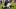 colorado buffaloes wide receiver deandre moore jr. texas longhorns transfer cu buffs football deion sanders coach prime ncaa colorado buffaloes wide receiver deandre moore jr. texas longhorns transfer cu buffs football deion sanders coach prime ncaa