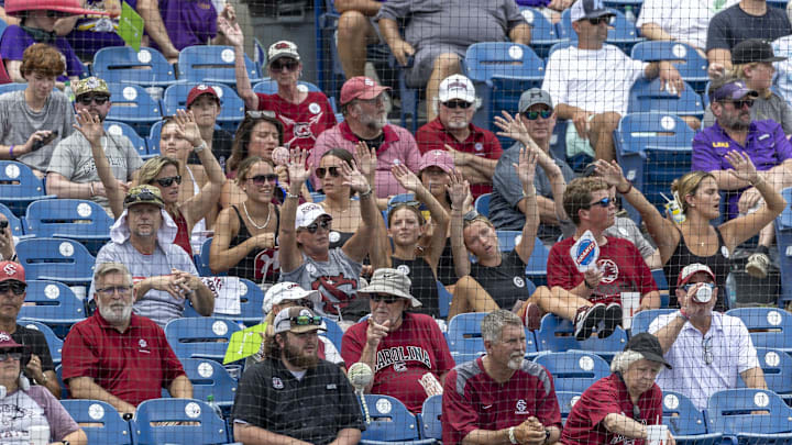 May 25, 2024; Hoover, AL, USA; South Carolina Gamecocks fans cheer in a game against the LSU Tigers during the SEC Baseball Tournament at Hoover Metropolitan Stadium. Mandatory Credit: Vasha Hunt-Imagn Images