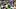 oregon ducks dan lanning josiah boyd class of 2028 quarterback recruit commit visit washington huskies ucla bruins big ten oregon ducks dan lanning josiah boyd class of 2028 quarterback recruit commit visit washington huskies ucla bruins big ten