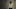 01_LONGLEGS_MaikaMonroe_CourtesyofNEON_rgb 01_LONGLEGS_MaikaMonroe_CourtesyofNEON_rgb