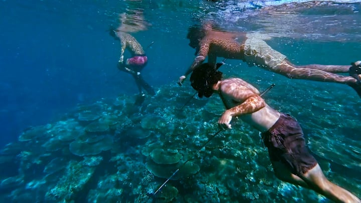 “Coconut Etiquette’” – One castaway struggles coming to grips with betraying their allies. Power in the game is up for grabs when one castaway is chosen for a journey and must decide if the risk is worth the reward. Then, paranoia runs rampant when a castaway knowingly tries to stir up chaos on SURVIVOR, Wednesday, May 7 (8:00 - 9:30 PM, ET/PT) on the CBS Television Network, and available to stream on Paramount+*. Jeff Probst serves as host and executive producer. Pictured (L-R): Kyle Fraser,