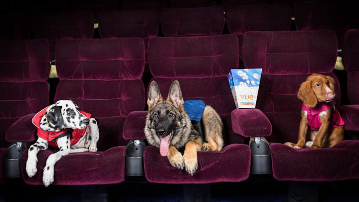 PAW Patrol: Big Screen Takeover Advanced Screening & Fun-In-The-Foyer Experience At Vue Piccadilly