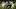 Jalen Watts-Jackson Jalen Watts-Jackson