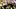 LSU vs South Caroline 2025