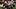 Texas Longhorns running back Velton Gardner Texas Longhorns running back Velton Gardner