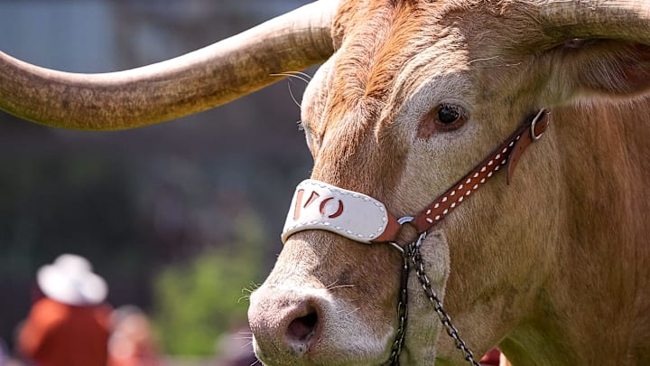 Texas Longhorns mascot Bevo XV is brough onto the field at the Clyde Littlefield Texas Relays at Mike A. Myers Stadium on Saturday, March 29, 2025.