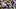 Oklahoma Sooners, John Mateer Oklahoma Sooners, John Mateer