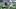 New York Giants running back Cam Skattebo New York Giants running back Cam Skattebo