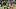 Pittsburgh Steelers running back Najee Harris Pittsburgh Steelers running back Najee Harris