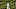 Chicago Cubs center fielder Cody Bellinger Chicago Cubs center fielder Cody Bellinger