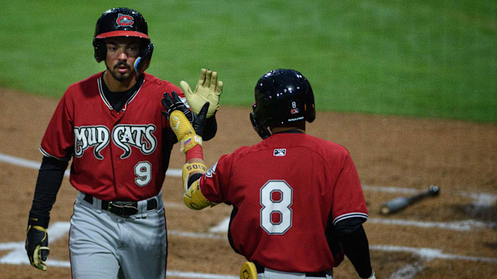 Fayetteville Woodpeckers opening night against Carolina Mudcats at Segra Stadium