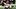 Fantasy Football, Antonio Williams, Washington Commanders Fantasy Football, Antonio Williams, Washington Commanders