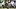 ryelan morris ryelan morris