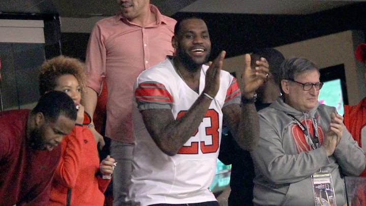 LeBron James cheering on his team
