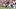  Mississippi State Bulldogs wide receiver Anthony Evans III (3) 