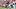 Mississippi State Bulldogs Wide Receiver Anthony Evans III Alabama Performance NIL Value Georgia Transfer SEC 2026 Football