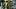 Columbus Crew midfielder Taha Habroune Columbus Crew midfielder Taha Habroune