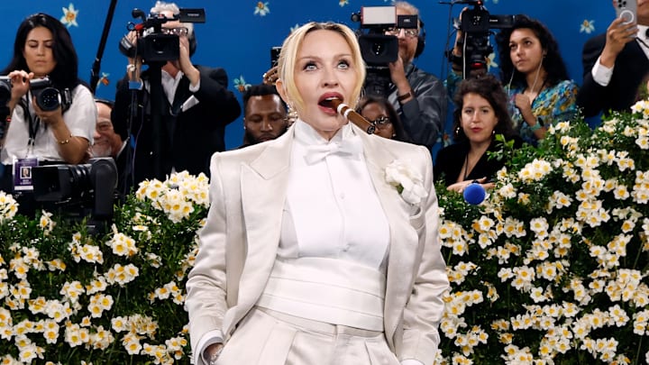 The 2025 Met Gala