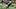 College Fantasy Football, Gavin Freeman, Baylor Bears College Fantasy Football, Gavin Freeman, Baylor Bears