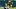 Green Bay Packers running back Josh Jacobs, Fantasy Football