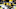 Pittsburgh Steelers wide receiver Roman Wilson