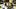 Pittsburgh Steelers wide receiver Roman Wilson Pittsburgh Steelers wide receiver Roman Wilson