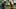 Green Bay Packers running back MarShawn Lloyd fantasy football Green Bay Packers running back MarShawn Lloyd fantasy football