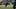 Oregon Ducks football players wear all-black uniforms. Oregon Ducks football players wear all-black uniforms.