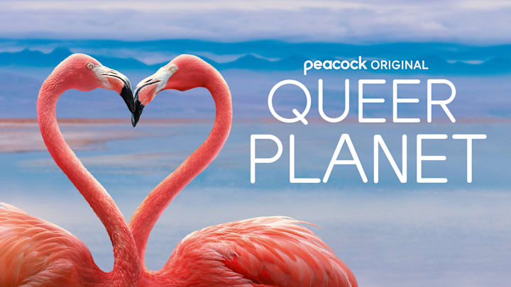 Queer Planet on Peacock